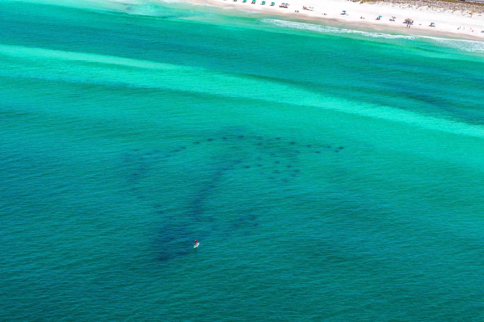 Ariel Dunes I 1307 Destin Kültér fotó